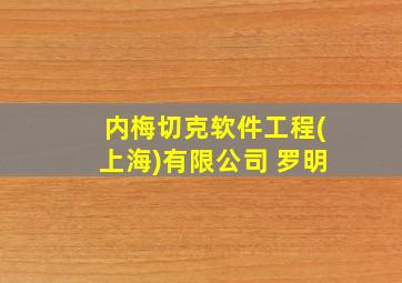 内梅切克软件工程(上海)有限公司 罗明